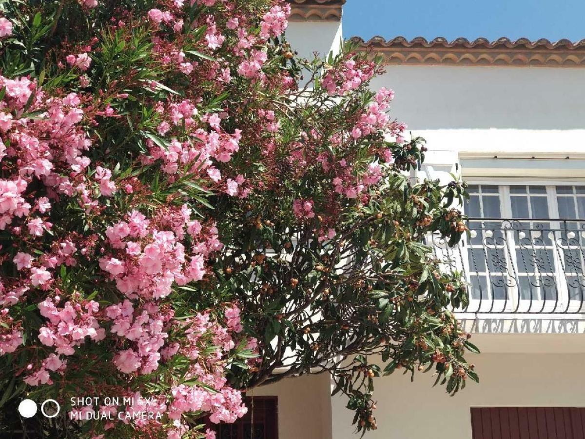 Appartamento Les Lauriers Roses Narbona Esterno foto